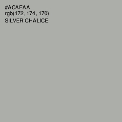 #ACAEAA - Silver Chalice Color Image
